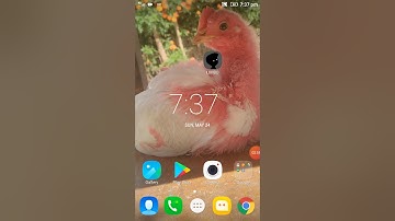 How to download Limbo game Full version on Android for free