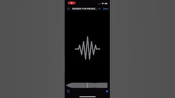 Pi’erre Bourne - Sossboy For President Snippet