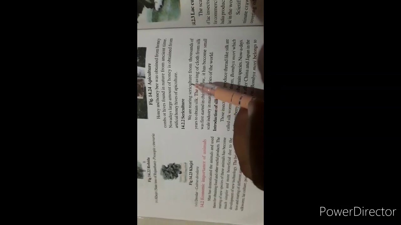 Economic importance of animals