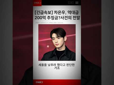 차은우, 역대급 200억 추징금? 사건의 전말