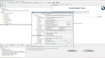 Authenticated Scanning with the VNS3 OWASP ZAP Plugin