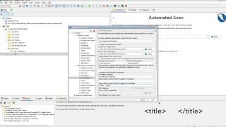 Authenticated Scanning with the VNS3 OWASP ZAP Plugin