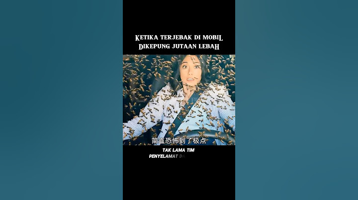 Ketika terjebak di dalam mobil dan dikepung Jutaan Lebah #alurceritafilm #film