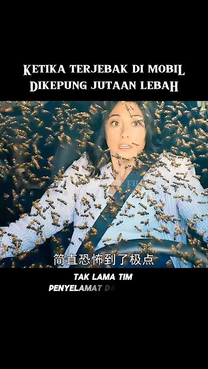 Ketika terjebak di dalam mobil dan dikepung Jutaan Lebah #alurceritafilm #film
