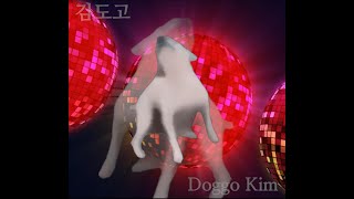 DANCE TILL YOU’RE DEAD & DOG MEME  (DANCING DOGGO)