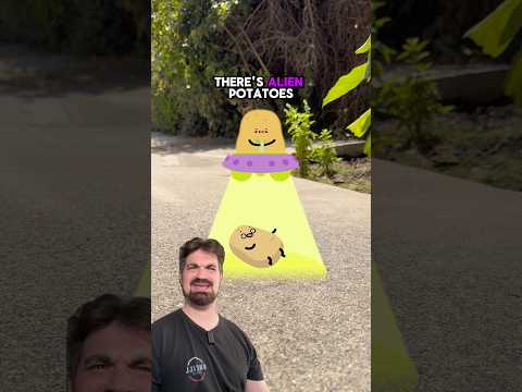 Sus Cartoons: Alien Potatoes