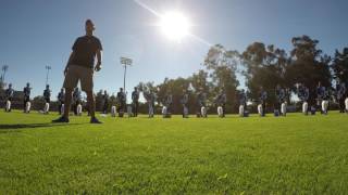 Blue Devils B 2017 Hornline @DCI West
