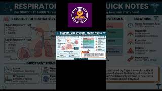 Respiratory system Quick Notes#viral #viralvideo #shortsfeed