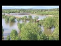 Mangroves - Guardians of the Coast