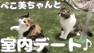 美少女と沢山遊んだぽこ太郎くん