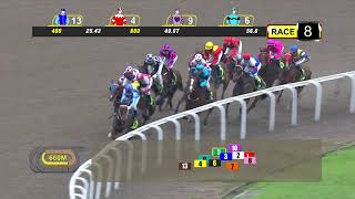 Vidéo de la course PMU FALCON RACING STABLES STAKES