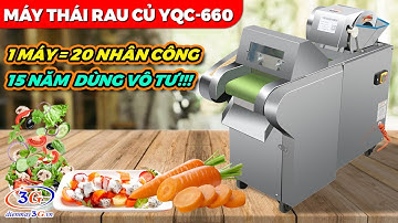 MÁY THÁI RAU CỦ QUẢ ĐA NĂNG YQC-660| Máy Cắt Rau Tự Động| Điện máy 3G