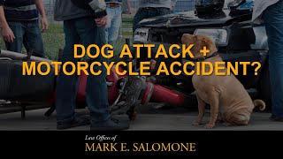 Dog Attack Motorcycle Accident? It Happened Law Offices Of Mark E. Salomone