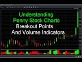THE REAL TRUTH ABOUT TRADING PENNY STOCKS - YouTube