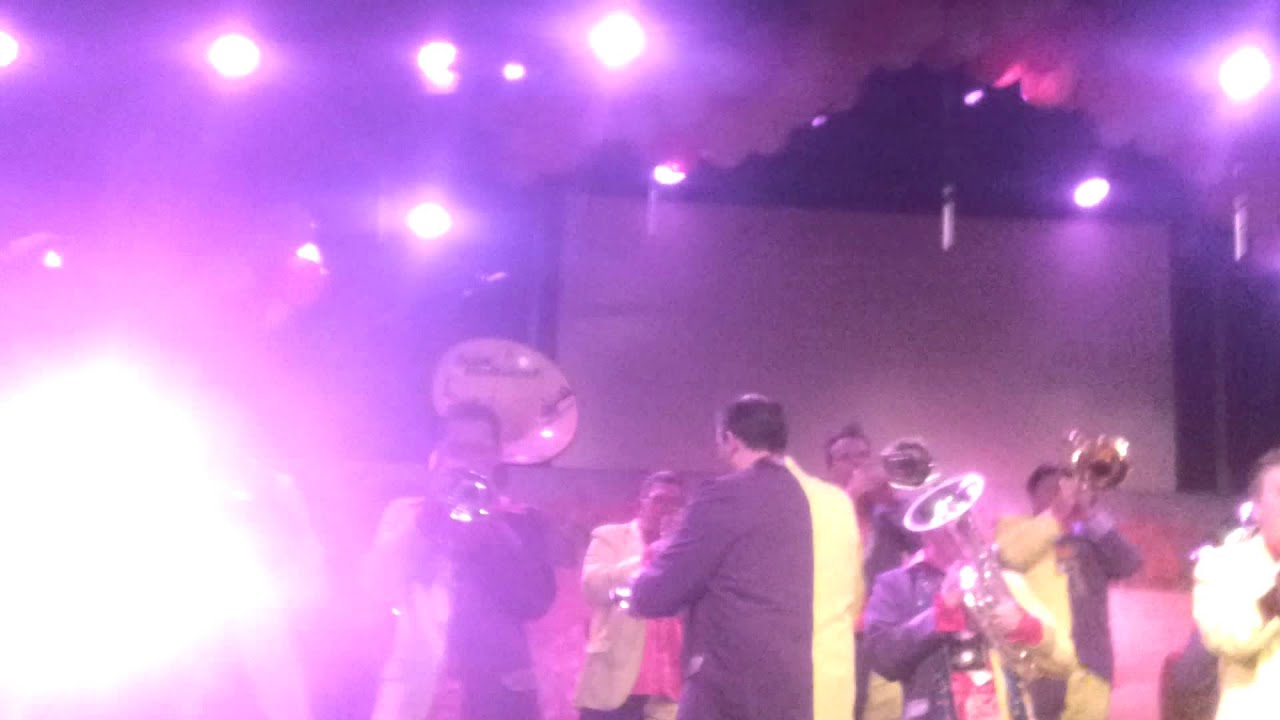 Blazerus @ pullevulle 3