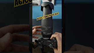 Sony A6700 Plus Tamron 18-300 Best APS-C Wild Life Combo