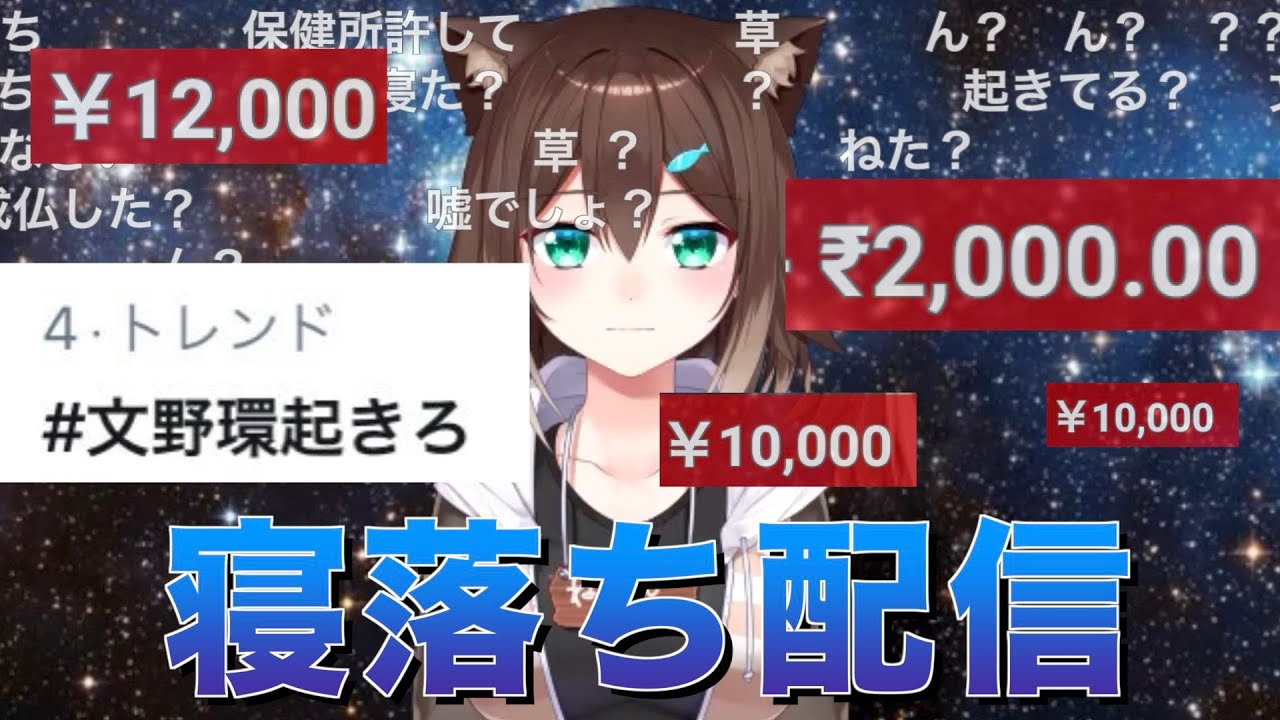 寝落ち配信で30万円以上稼ぎトレンド入りする猫【文野環 / にじさんじ切り抜き】
