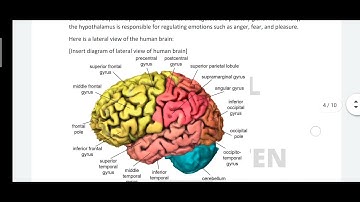 BPCC 102 IGNOU SOLVED ASSIGNMENT