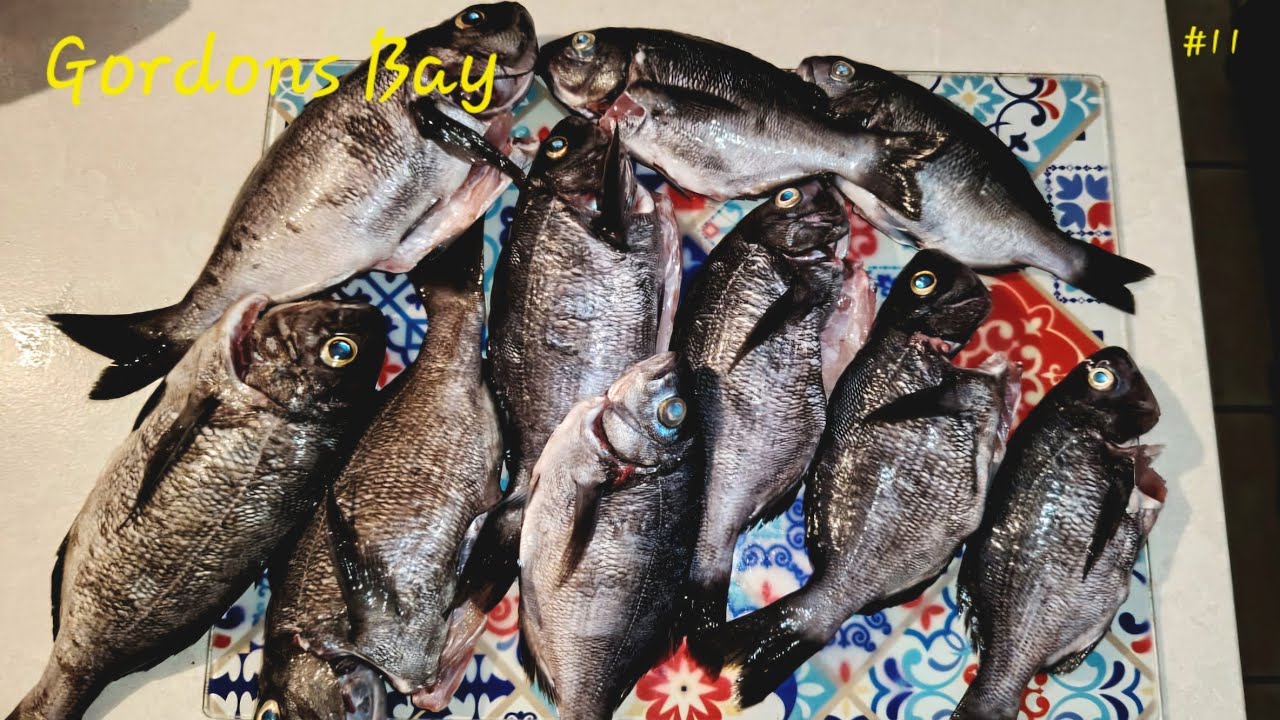 Fishing Gordons Bay on a beautiful day ( Bream session )