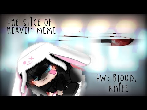 The Slice Of Heaven That I Gave Meme [Tw: Blood, Knife]
