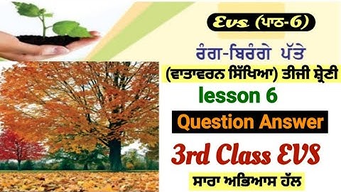 3rd class evs | lesson 6 | ਰੰਗ-ਬਿਰੰਗੇ ਪੱਤੇ | question answer| PSEB| class 3rd evs | chapter 6