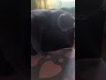 Во сне думает подписывайтесь рек топ рекомендации тренды шортс хочуврек котики юмор Shоrts Во сне думает подписывайтесь рек топ рекомендации тренды шортс хочуврек котики юмор Shоrts