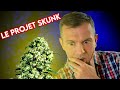 Lhistoire de la skunk  strain story 1