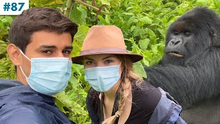 Meeting Wild Gorillas in African Rainforest!