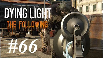 Dying Light サブソニック弾