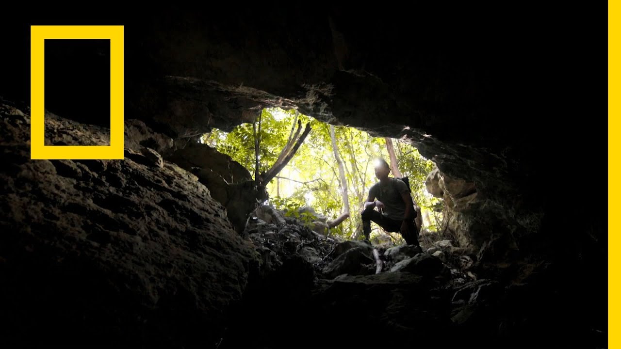 كنوز المايا الضائعة: أسرار العالم السفلي | ناشونال جيوغرافيك أبوظبي