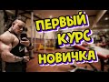 Первый курс новичка. С чего начать? Мой личный опыт