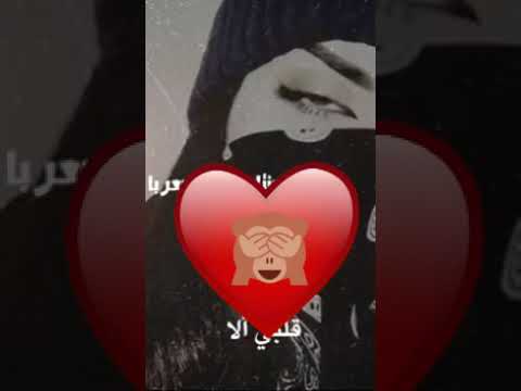 ولفي وريدى ومن هلا