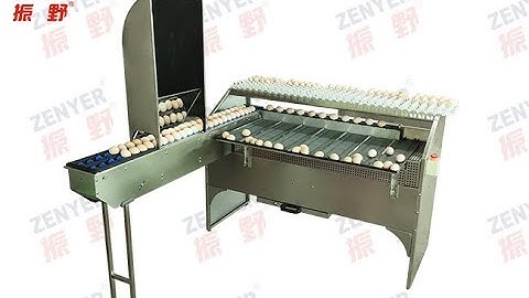 Brand new Zenyer 101B egg grader egg grading machine 4000 eggs/hour