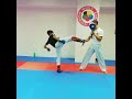 Karate wkf training, technique. Тренировка каратэ WKF