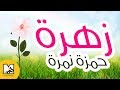 حمزة نمرة | زهرة / cover by HADI هادي