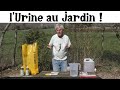 L'urine de l'or liquide au jardin !