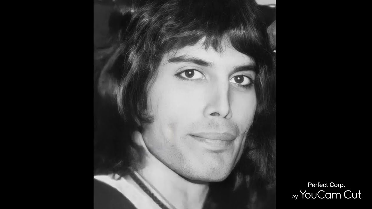 Happy Frisky Freddie Friday 🩷