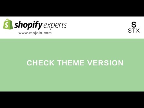 check Shopify store theme's version