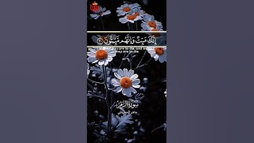 إنك ميت وإنهم ميتون // صوت خاشع القارئ #ماهر_المعيقلي #ريحانة_قرآن #قرآن #تلاوات_خاشعة #ياسر_الدوسري