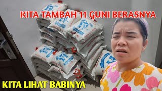 Download Lagu SE EKOR BABI HARGA SEJUTA UNTUK DI MASAK BESOK MP3