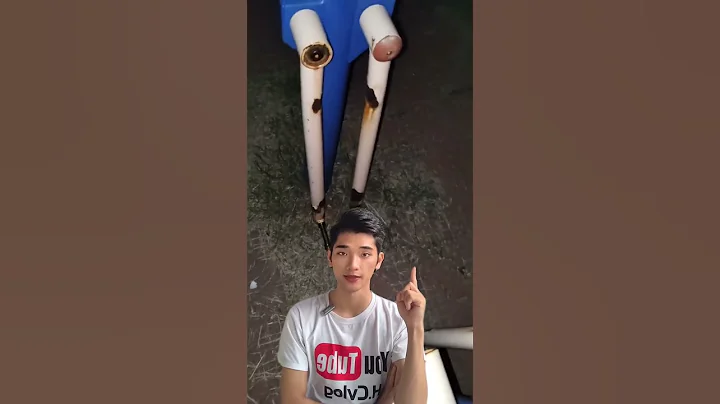 Sự thật về tiếng hát ở công viên hoang vắng