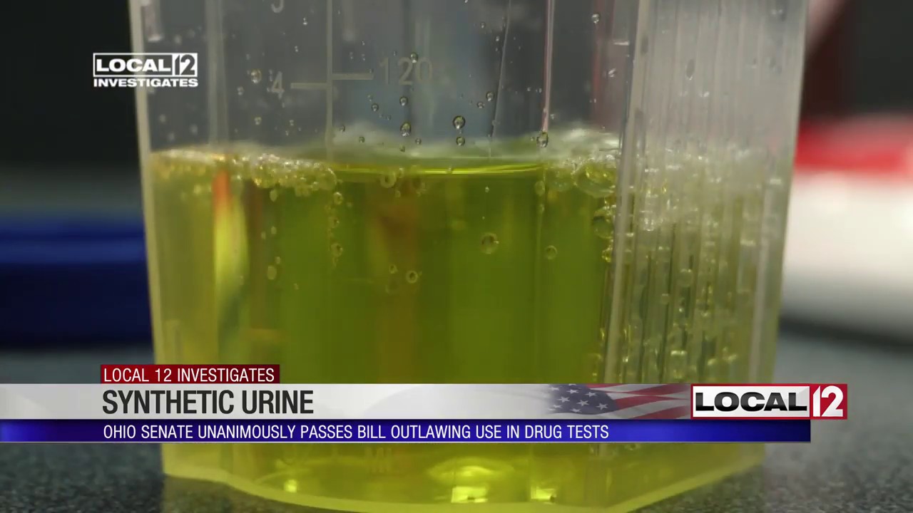 Ohio bill outlawing use of synthetic urine passes Senate YouTube