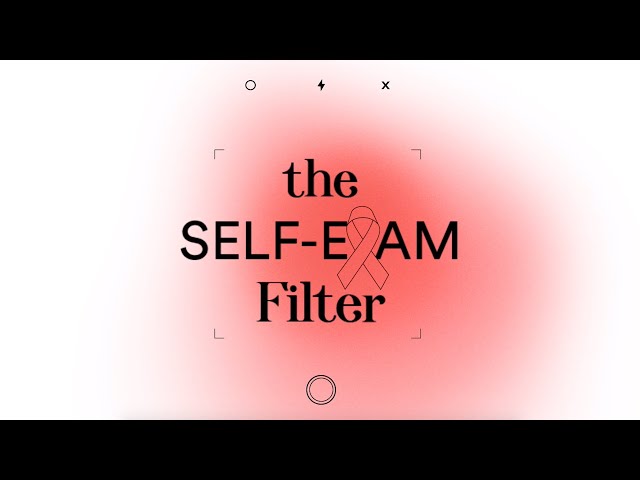 The Self-Exam Filter