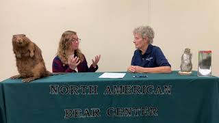 Tara- Intern Exit Interview - October 22, 2019