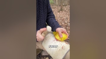 The Ancient Art of Flint Knapping