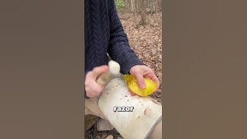 The Ancient Art of Flint Knapping