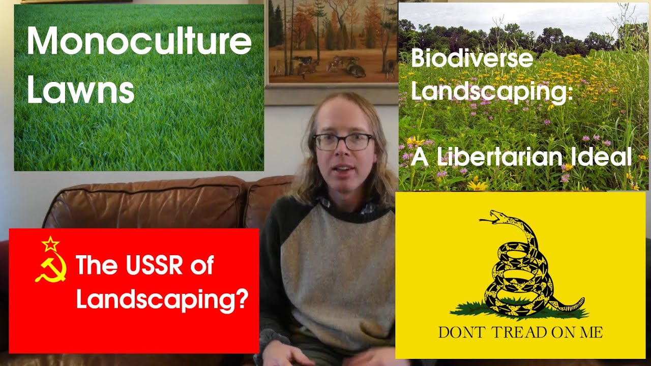 Micromanagement in Government and Landscaping: Libertarianism vs. Communism, and Monoculture Lawns