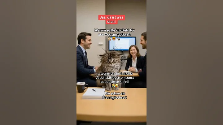 Video 11494721: mainecoon cat funny