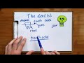Understanding Dental Terminology