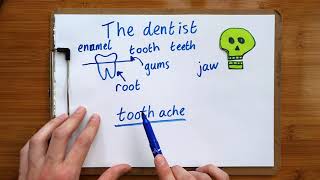 Words I heard at the dentist  basic dental vocabulary